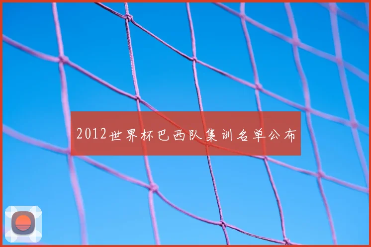 2012世界杯巴西队集训名单公布