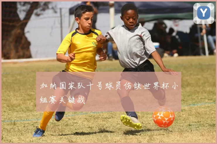 加纳国家队十号球员伤缺世界杯小组赛关键战