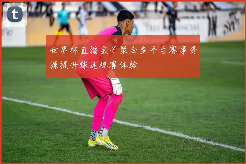世界杯直播盒子聚合多平台赛事资源提升球迷观赛体验